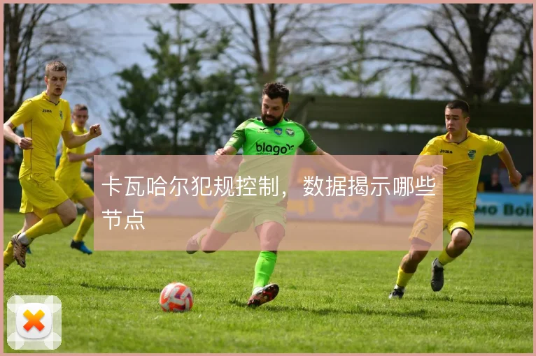 卡瓦哈尔犯规控制,数据揭示哪些节点
