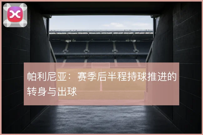 帕利尼亚:赛季后半程持球推进的转身与出球