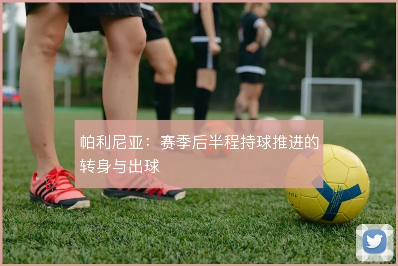 帕利尼亚:赛季后半程持球推进的转身与出球
